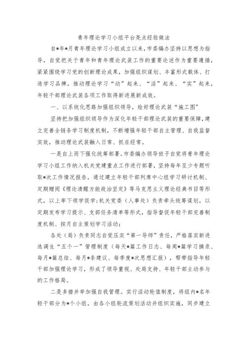 青年理论学习小组平台亮点经验做法.docx