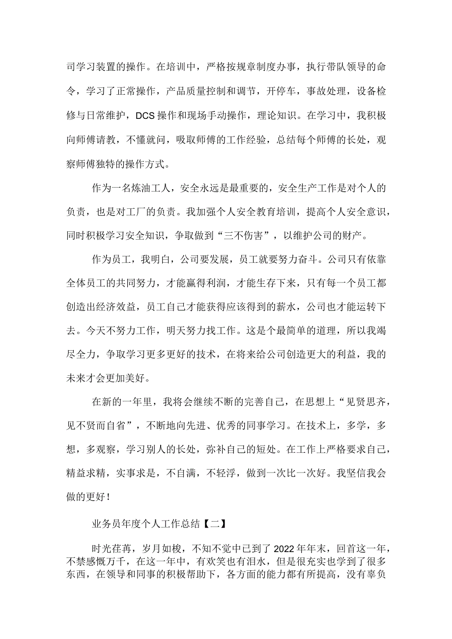 业务员个人工作总结.docx_第2页