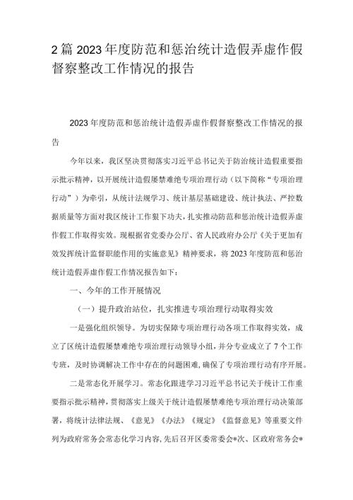 2篇2023防范和惩治统计造假弄虚作假督察整改工作情况的报告.docx