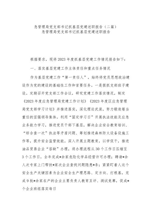 急管理局党支部书记抓基层党建述职报告(二篇).docx