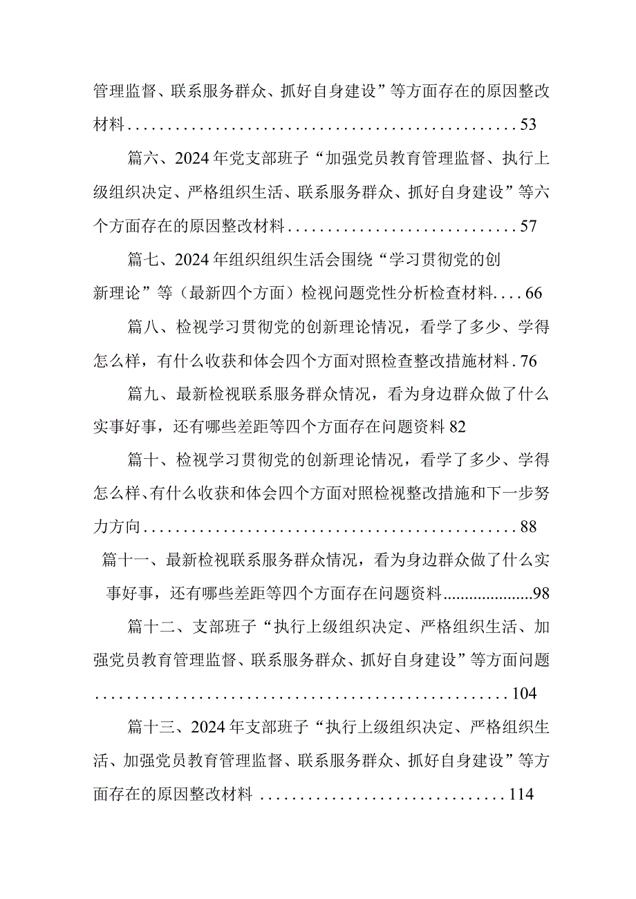 2024年2月党支部班子“执行上级组织决定、执行上级组织决定、严格组织生活、加强党员教育管理监督、联系服务群众、抓好自身建设”等方面.docx_第2页