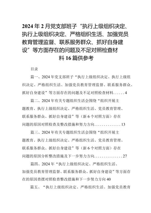 2024年2月党支部班子“执行上级组织决定、执行上级组织决定、严格组织生活、加强党员教育管理监督、联系服务群众、抓好自身建设”等方面.docx