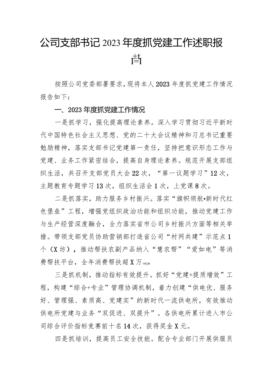 公司支部书记2023抓党建工作述职报告.docx_第1页