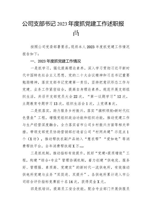 公司支部书记2023抓党建工作述职报告.docx