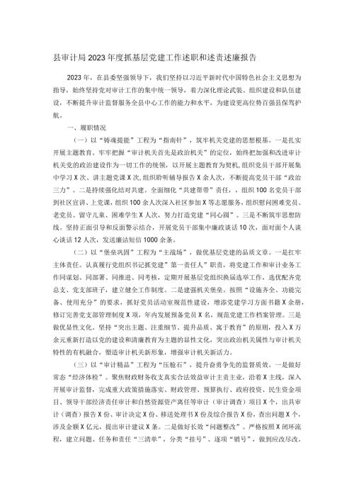 县审计局2023抓基层党建工作述职和述责述廉报告(1).docx