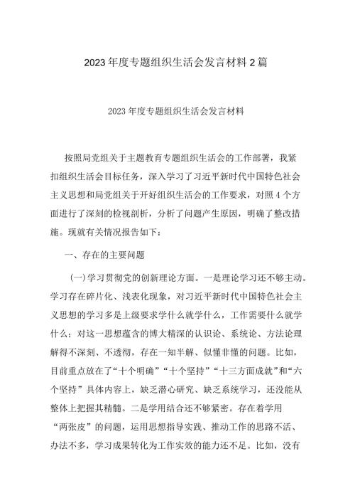 2023专题组织生活会发言材料2篇.docx