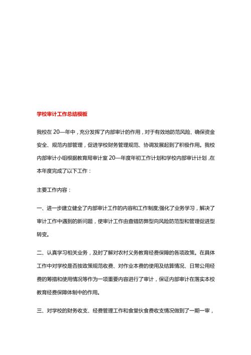 学校审计工作总结模板.docx