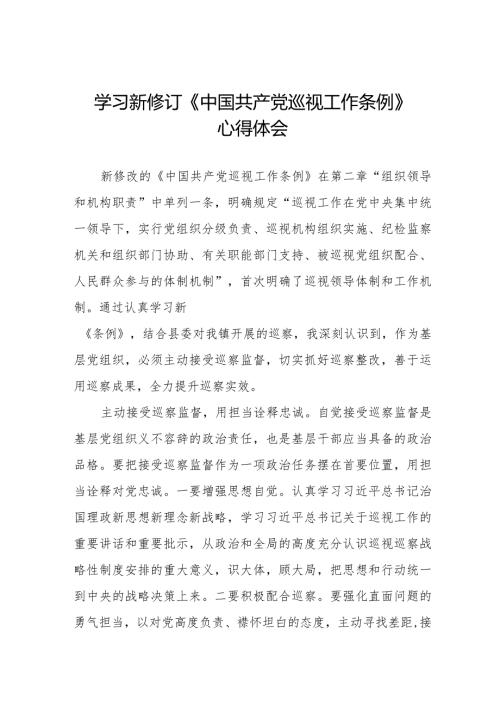 九篇关于2024年新修订《中国共产党巡视工作条例》的心得体会.docx