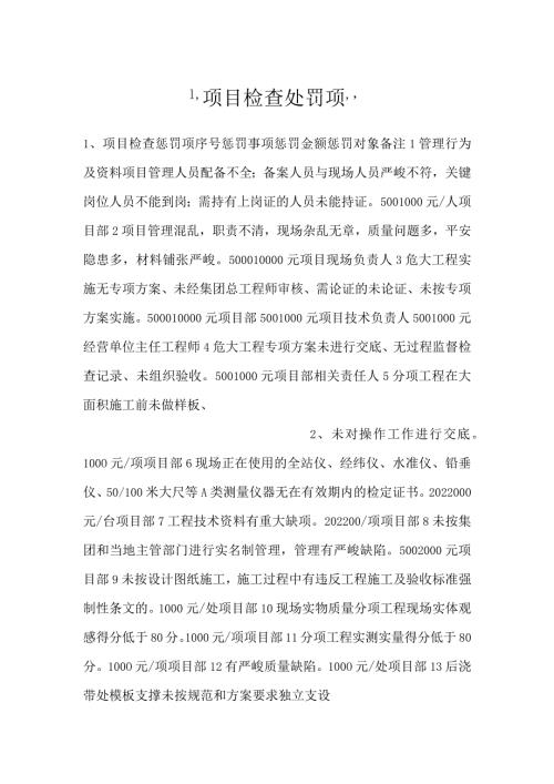 项目检查处罚项.docx