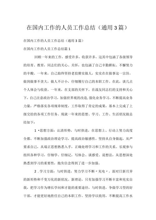 在国内工作的人员工作总结（通用3篇）.docx
