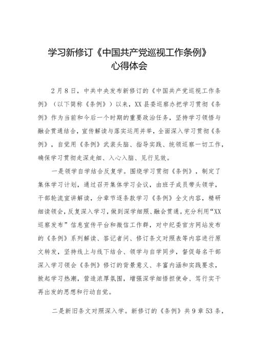 学习2024新修订中国共产党巡视工作条例心得体会十四篇.docx