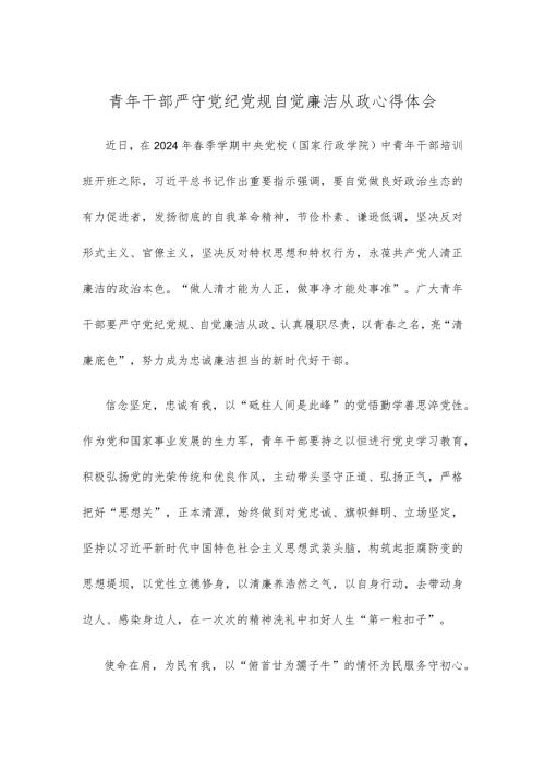 青年干部严守党纪党规自觉廉洁从政心得体会.docx
