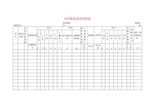 应付账款清查工作底稿明细表.docx