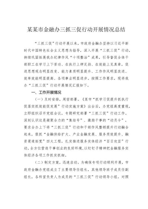 某某市金融办三抓三促行动开展情况总结.docx