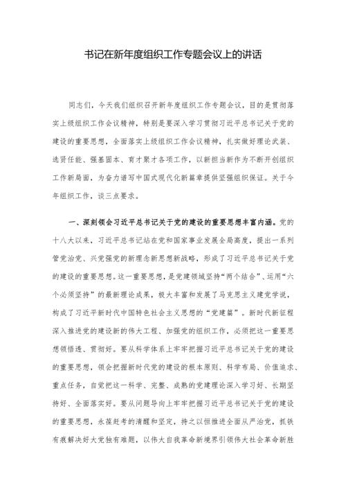 书记在新组织工作专题会议上的讲话.docx