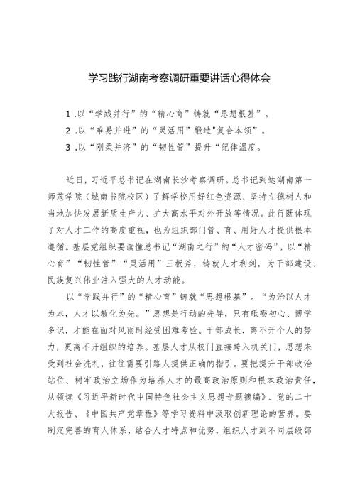 （4篇）学习践行湖南考察调研重要讲话心得体会（市委书记在传达全国两会精神会议上的讲话）.docx