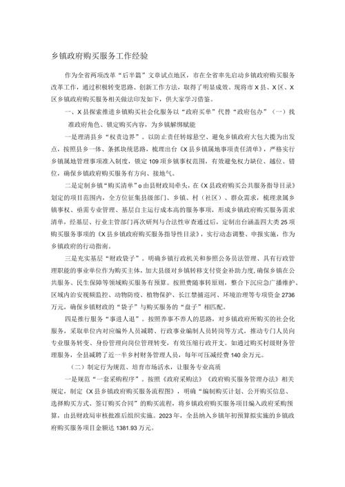 乡镇政府购买服务工作经验.docx