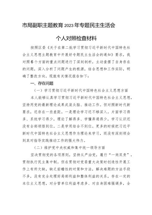 市局副职主题教育2023年专题民主生活会个人对照检查材料(1).docx