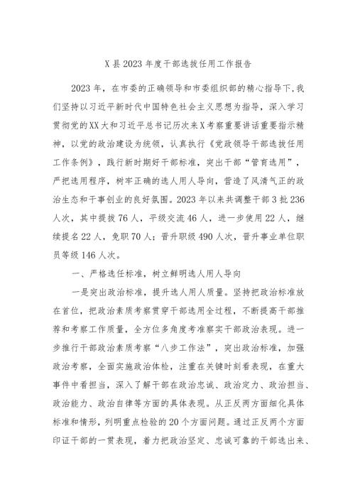 X县2023干部选拔任用工作报告.docx