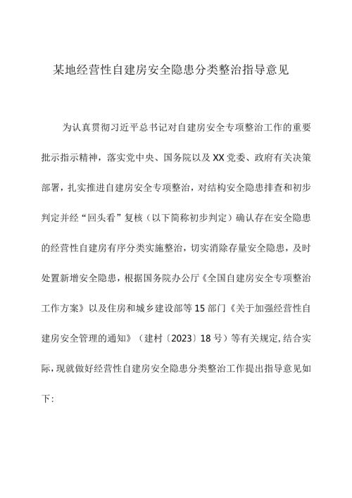 某地经营性自建房安全隐患分类整治指导意见.docx