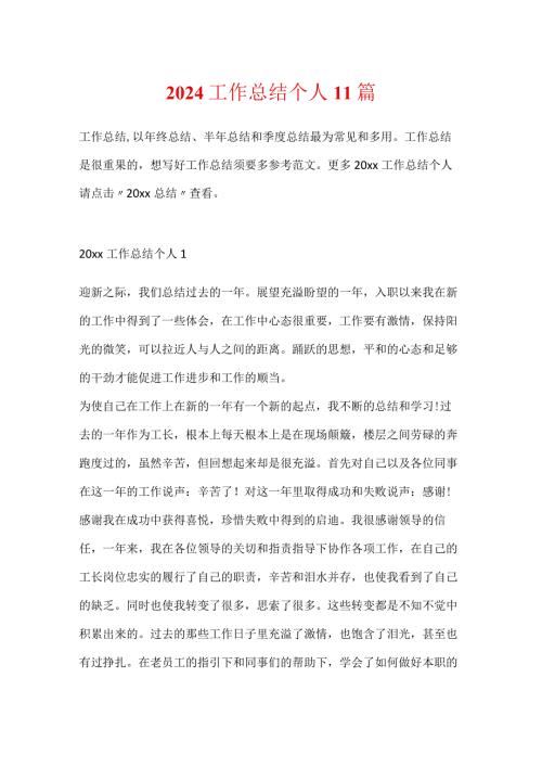 2024工作总结个人11篇.docx