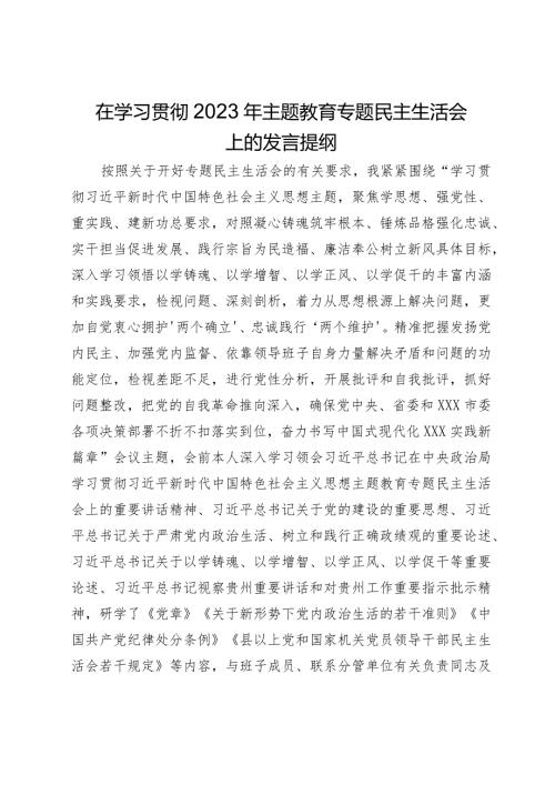 在学习贯彻2023年主题教育专题民主生活会上的发言提纲.docx