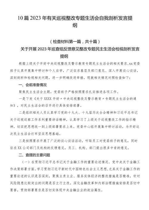 10篇2023年有关巡视整改专题生活会自我剖析发言提纲.docx