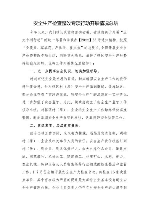 安全生产检查整改专项行动开展情况总结.docx