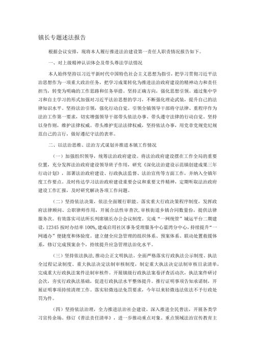 镇长专题述法报告.docx
