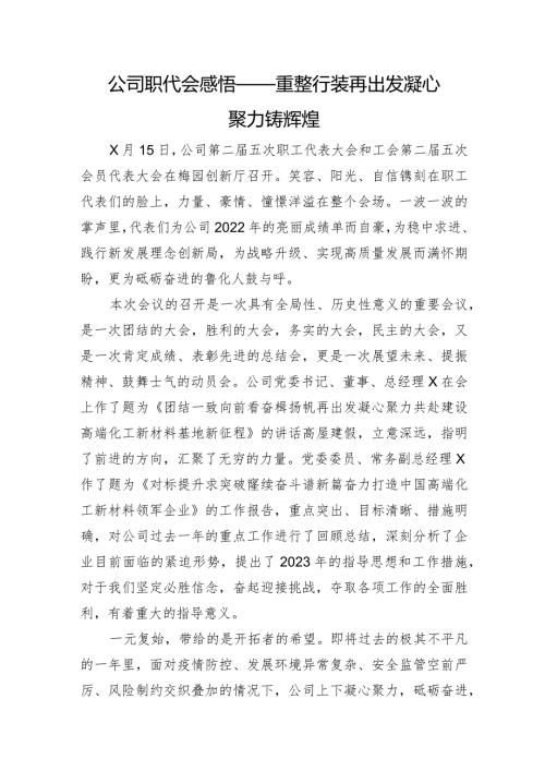 国企职代会感悟——重整行装再出发凝心聚力铸辉煌.docx
