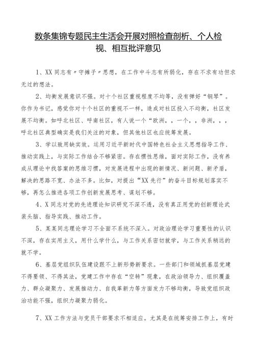 数条集锦专题民主生活会开展对照检查剖析、个人检视、相互批评意见.docx
