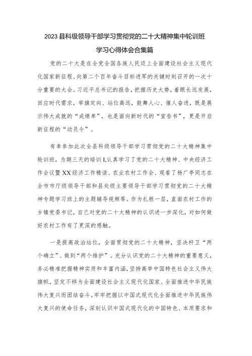 2023县科级领导干部学习贯彻党的二十大精神集中轮训班学习心得体会合集篇.docx