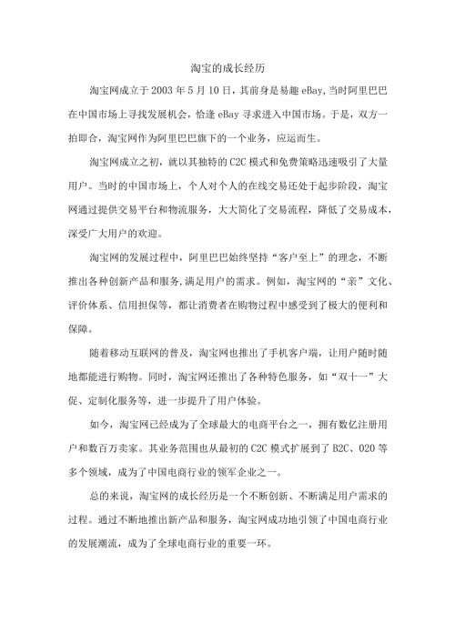 淘宝的成长经历.docx