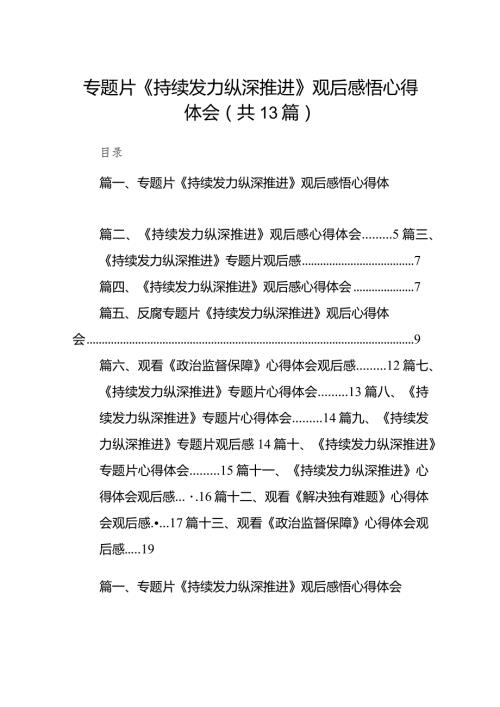 2024专题片《持续发力纵深推进》观后感悟心得体会13篇（精选版）.docx