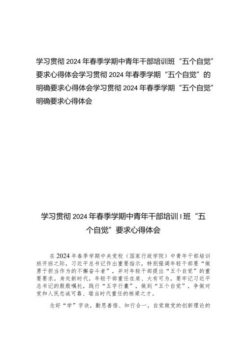 学习贯彻2024年季学期中青年干部培训班“五个自觉”的明确要求心得体会3篇.docx