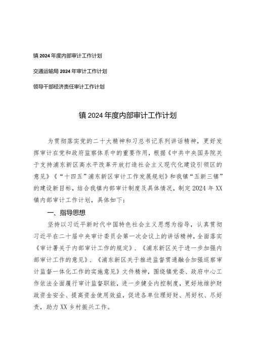 （3篇）镇交通运输局2024内部审计工作计划.docx