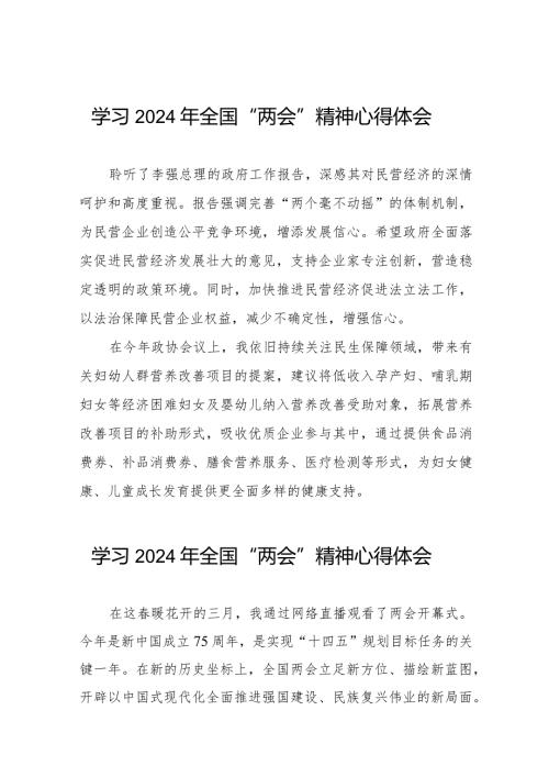 企业家学习2024年全国“两会”精神心得体会30篇.docx