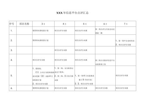 XX年信息平台点评.docx