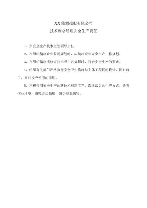 XX能源控股有限公司技术副总经理安全生产责任（2023年）.docx