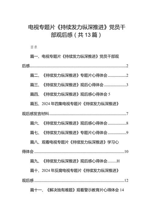 2024电视专题片《持续发力纵深推进》党员干部观后感13篇（详细版）.docx