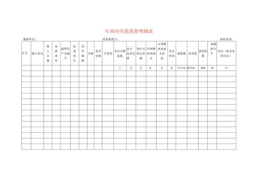 专项应付款清查工作底稿明细表.docx