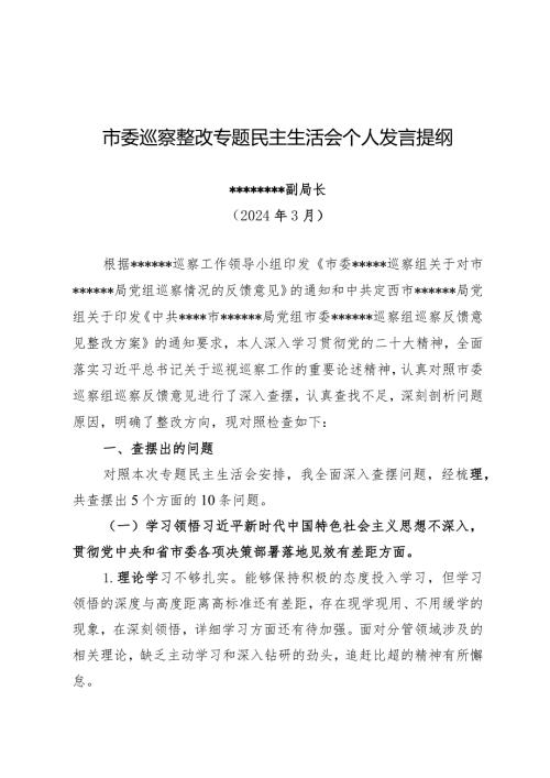 市委巡察整改专题民主生活会个人发言提纲.docx