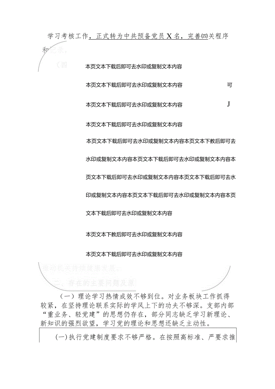 2024党支部书记工作述职报告.docx_第3页
