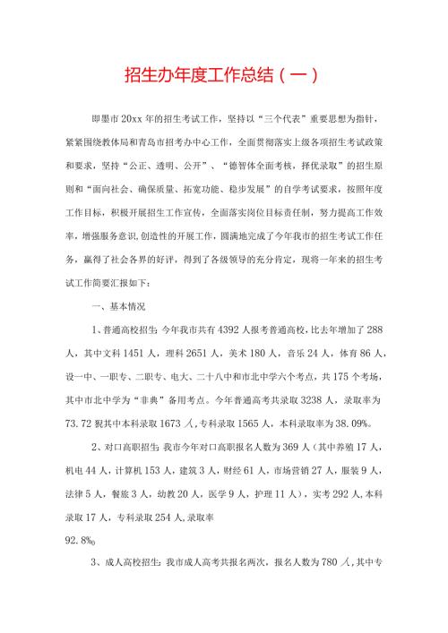 招生办工作总结.docx