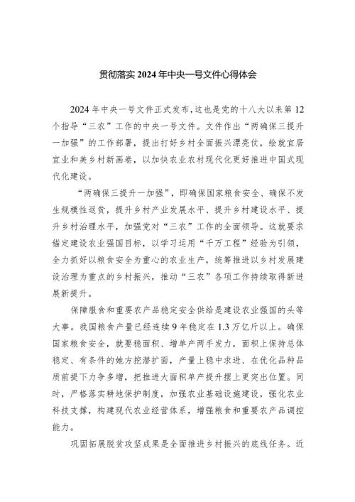 贯彻落实2024年中央一号文件心得体会（共9篇）.docx