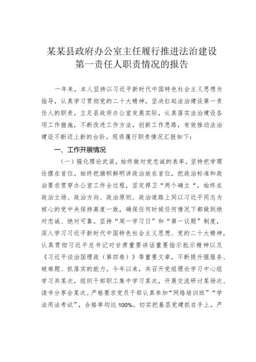 某某县政府办公室主任履行推进法治建设第一责任人职责情况的报告.docx