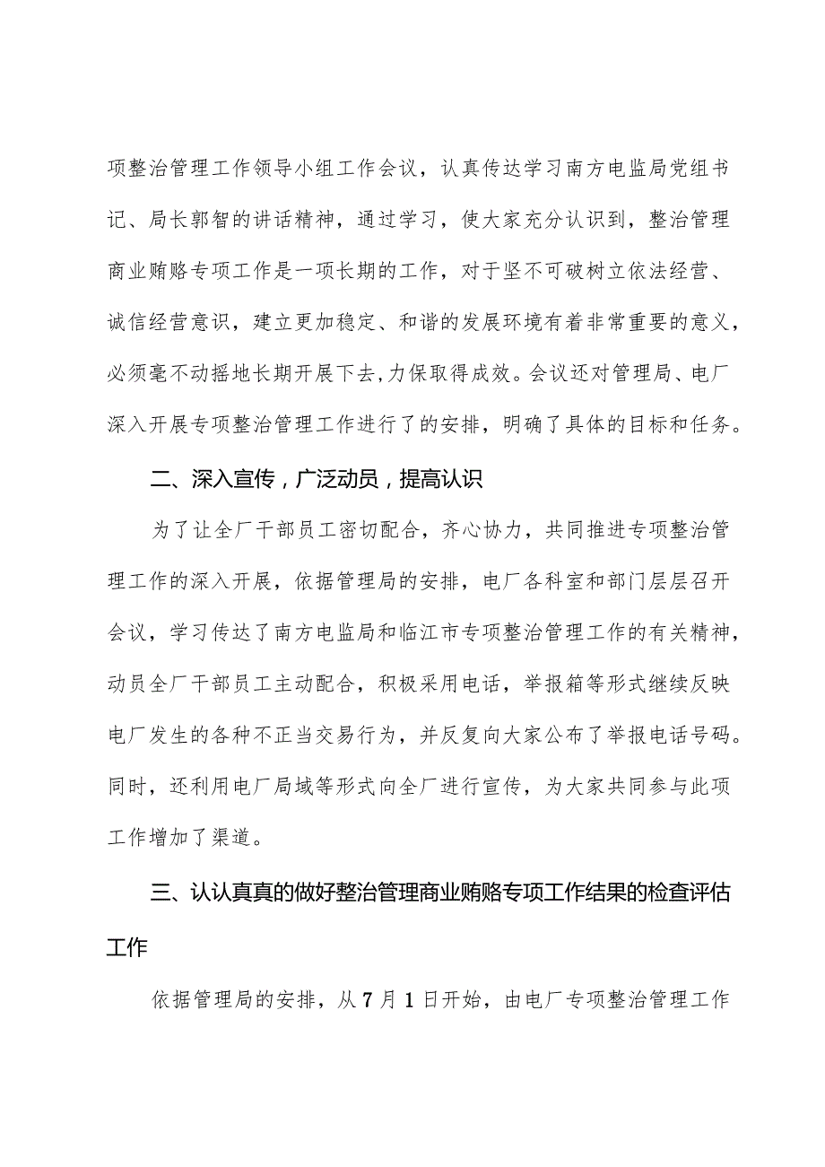 专项工作报告模板.docx_第2页