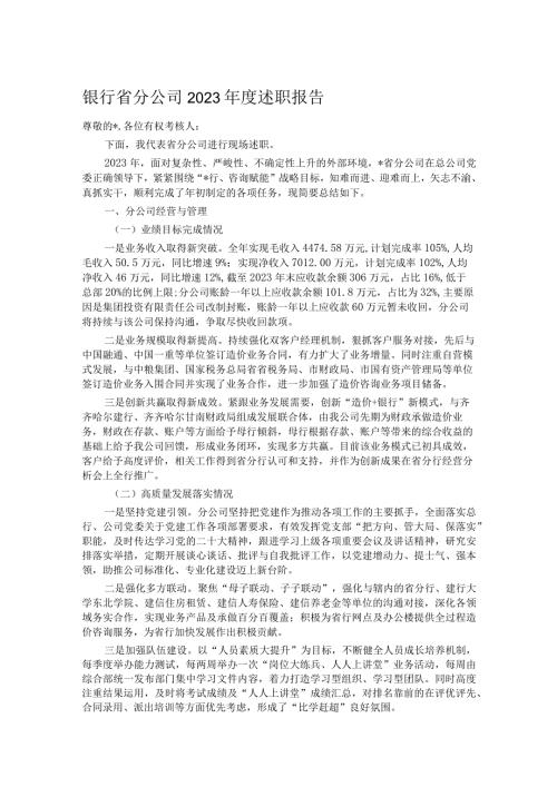 银行省分公司2023述职报告.docx