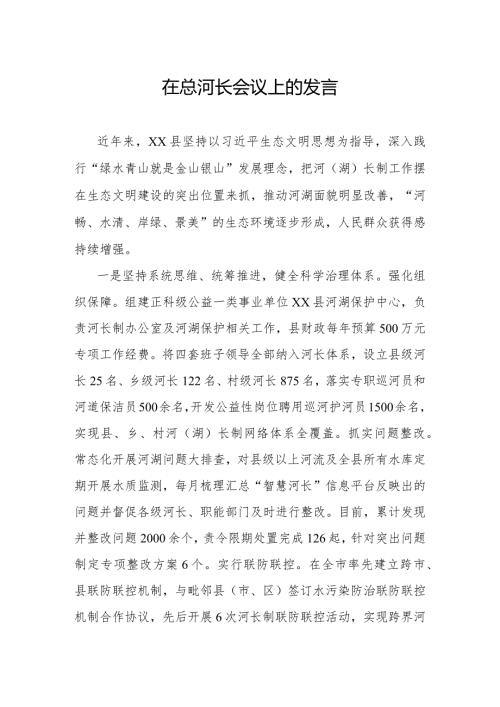 在总河长会议上的发言.docx