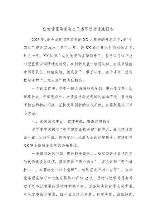 应急管理局党委班子述职述责述廉报告(1).docx